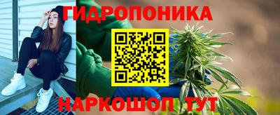 гашик Балахна