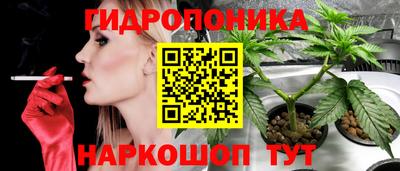 крисы Балашиха