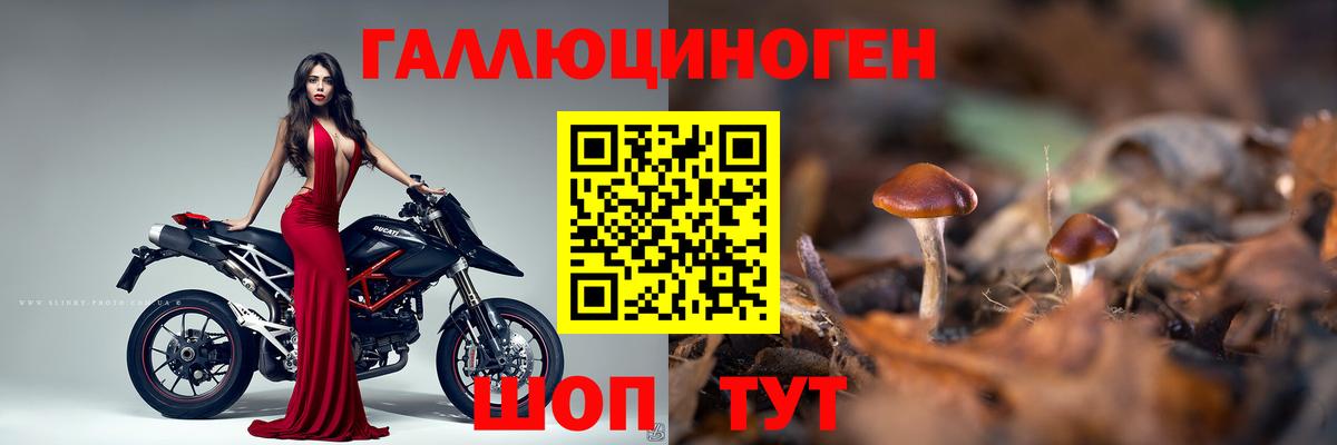 Галлюциногенные грибы MAGIC MUSHROOMS Егорьевск